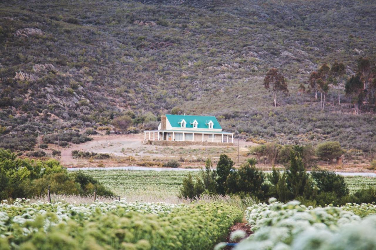 Blue Cow Barn - Boutique Farm Guest House Barrydale Bagian luar foto