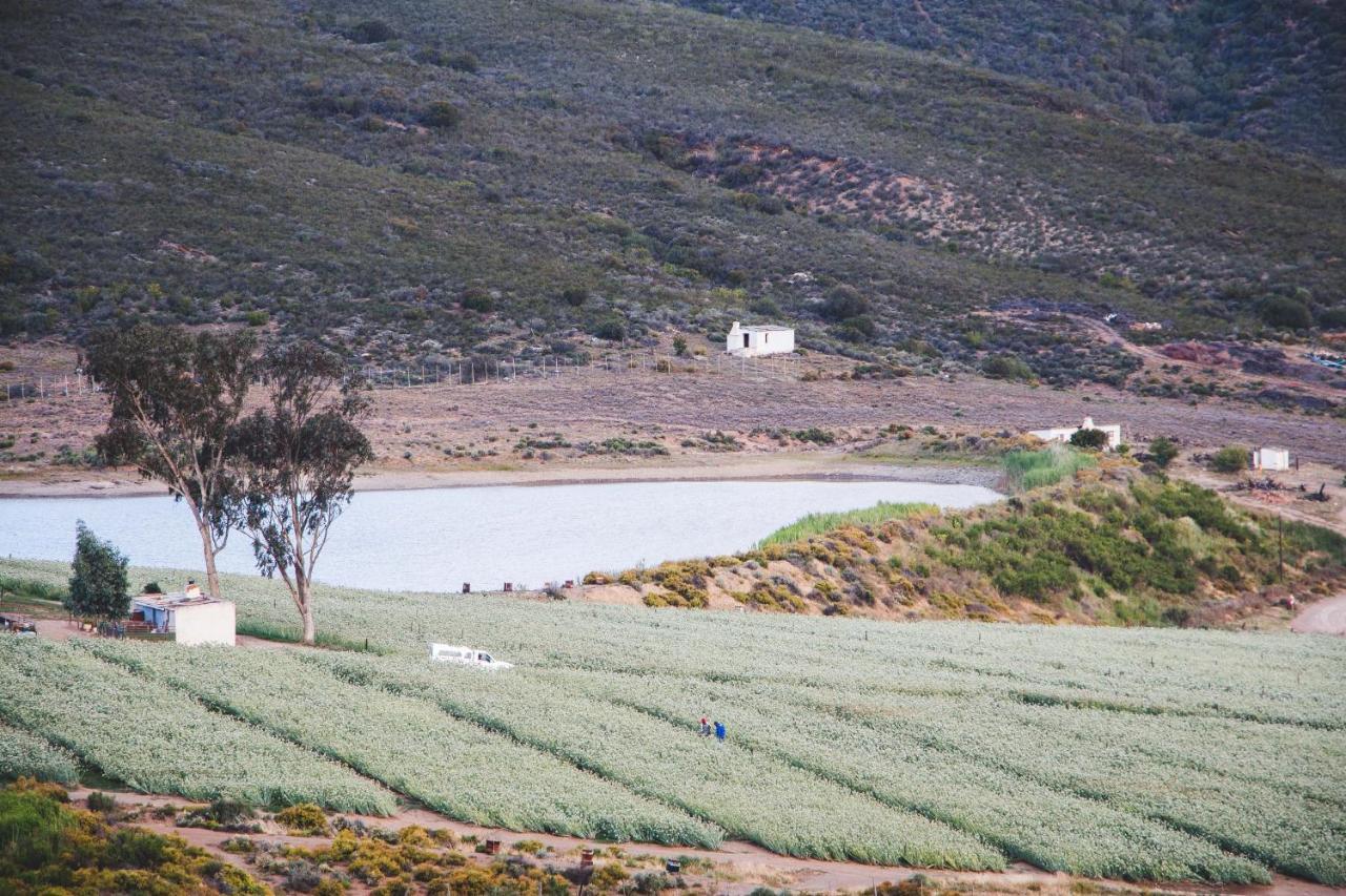 Blue Cow Barn - Boutique Farm Guest House Barrydale Bagian luar foto