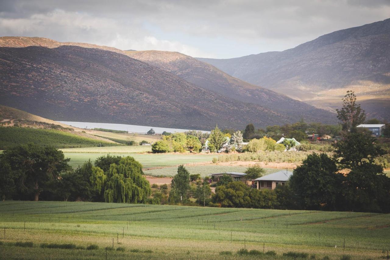 Blue Cow Barn - Boutique Farm Guest House Barrydale Bagian luar foto