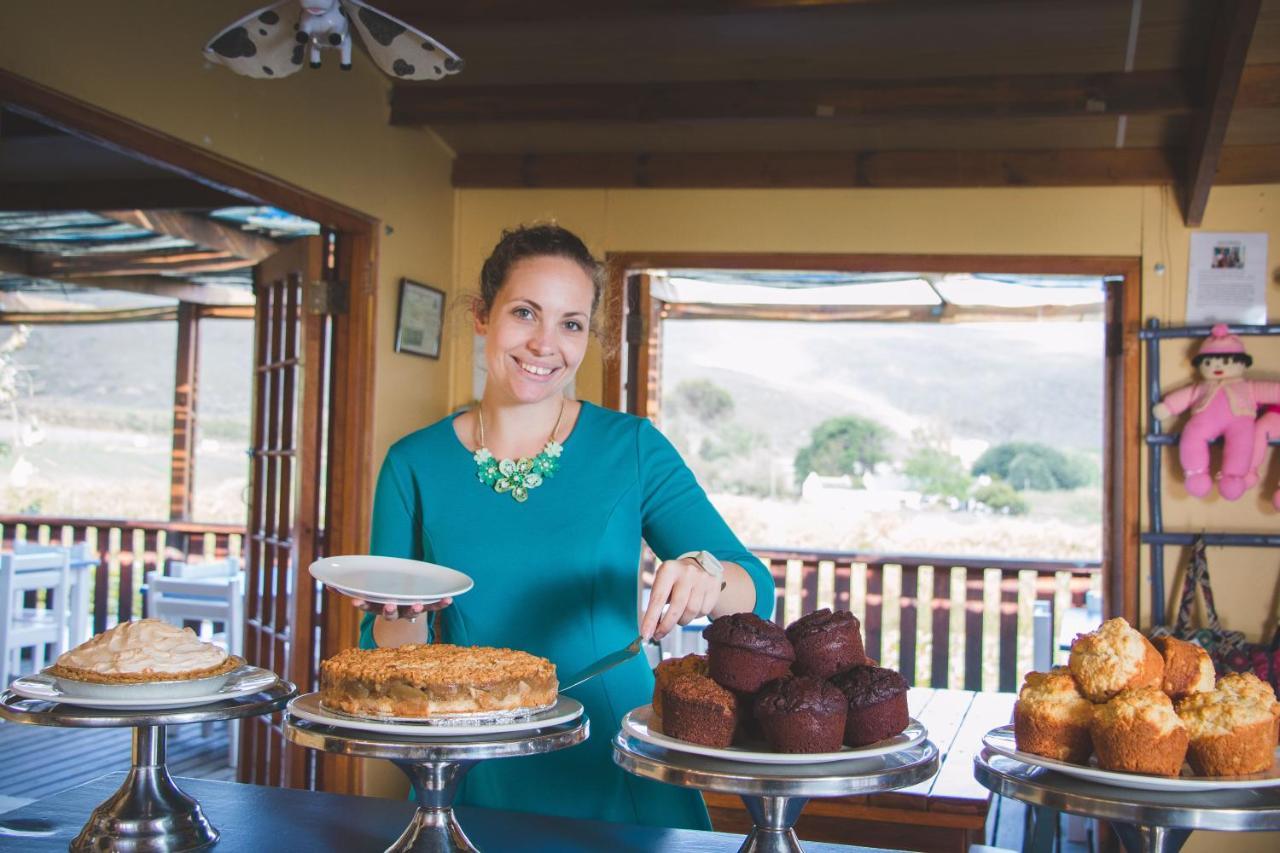 Blue Cow Barn - Boutique Farm Guest House Barrydale Bagian luar foto