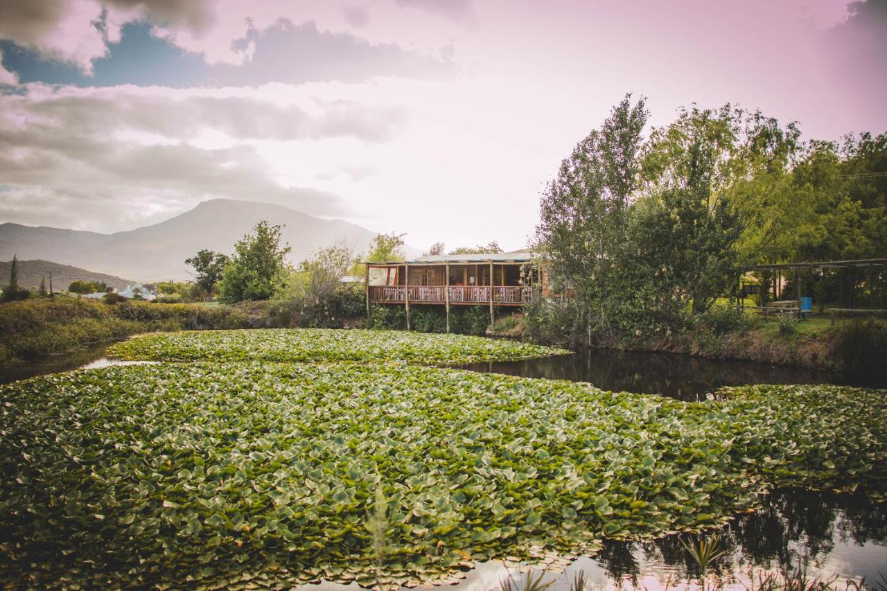 Blue Cow Barn - Boutique Farm Guest House Barrydale Bagian luar foto