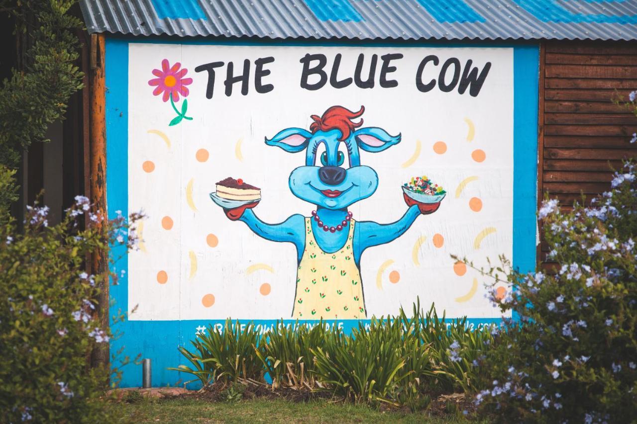 Blue Cow Barn - Boutique Farm Guest House Barrydale Bagian luar foto