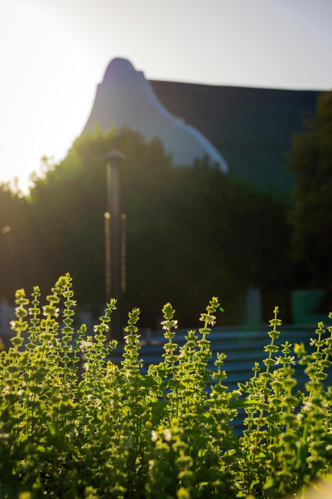 Blue Cow Barn - Boutique Farm Guest House Barrydale Bagian luar foto