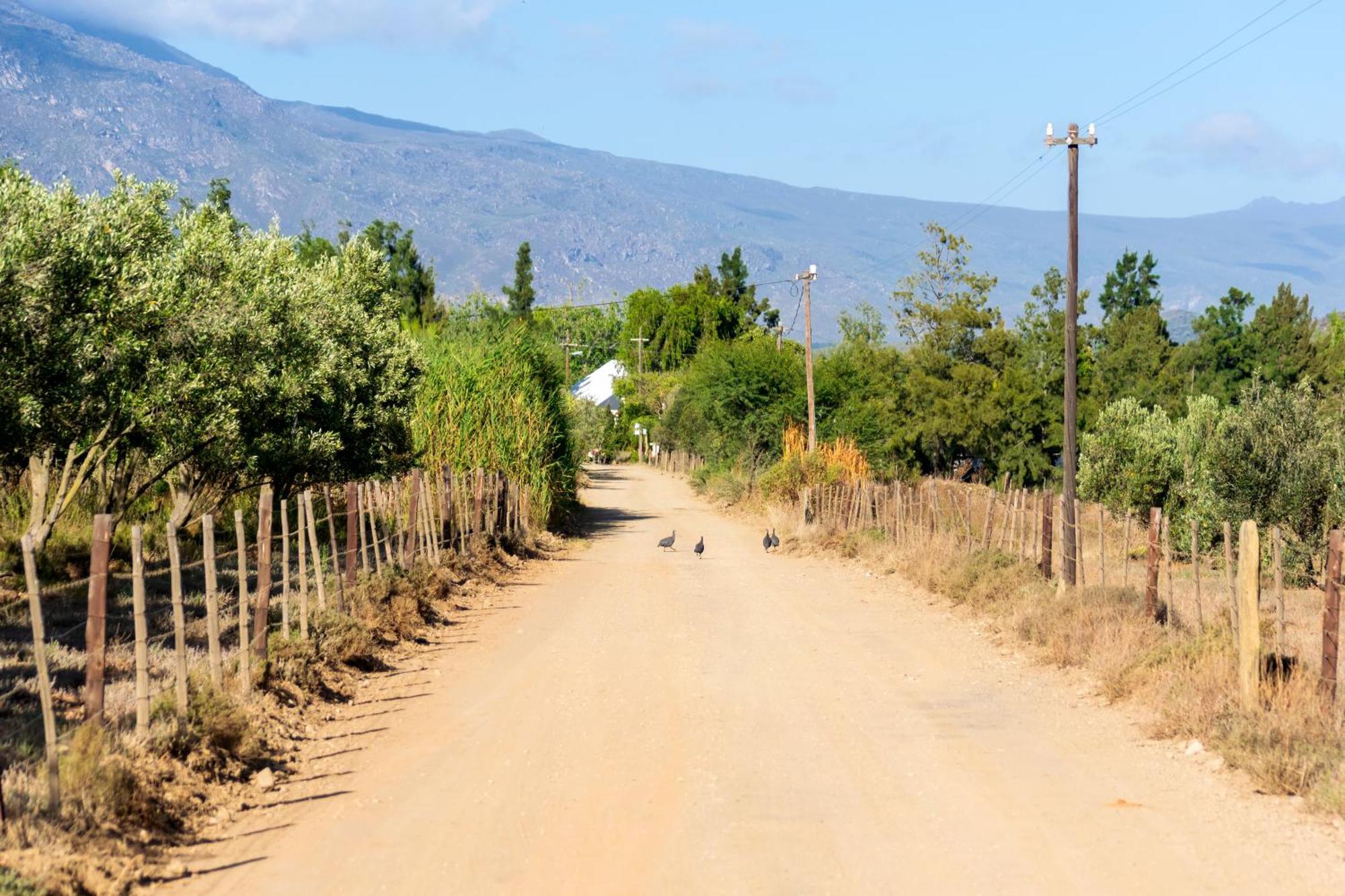 Blue Cow Barn - Boutique Farm Guest House Barrydale Bagian luar foto